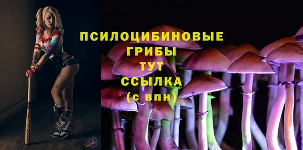каннабис Арсеньев