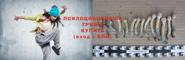 гидропоника Алзамай