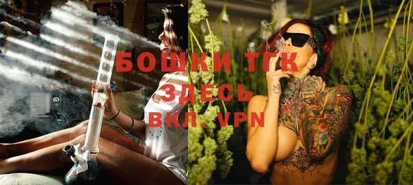 хмурый Няндома