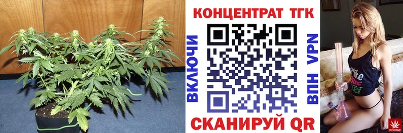 Дистиллят ТГК концентрат магазин наркотиков блэк спрут как войти Серов