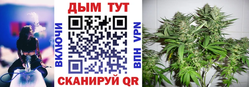 купить   Серов  Бошки марихуана LSD WEED 